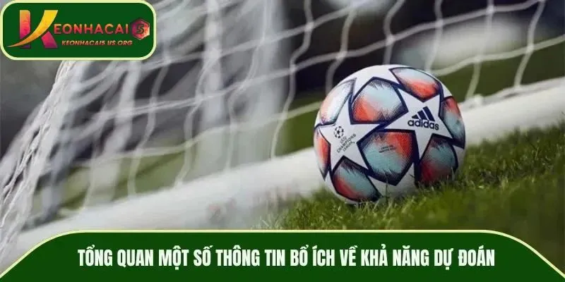 Tổng quan thông tin bổ ích về dự đoán kèo bóng đá