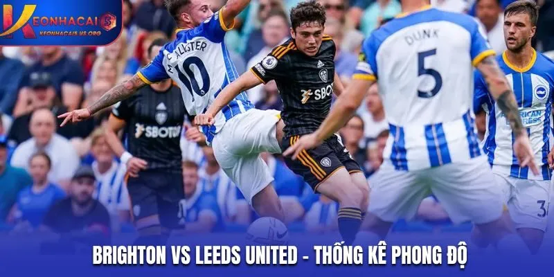 Soi kèo Brighton vs Leeds United - thống kê phong độ