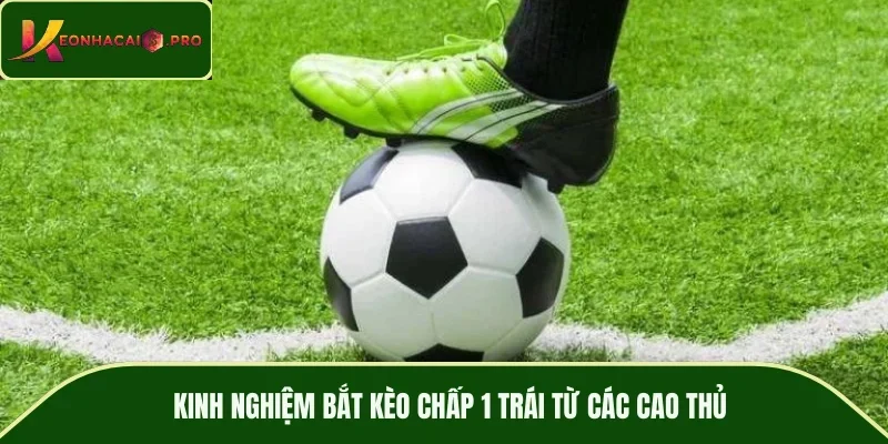 Kinh nghiệm bắt kèo chấp 1 trái từ các cao thủ