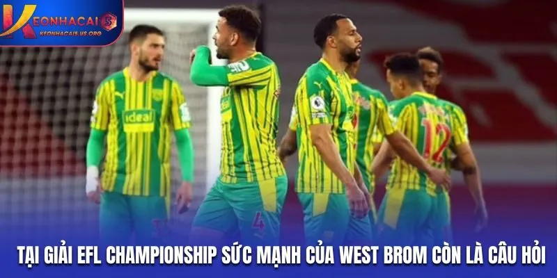 Tại giải EFL Championship sức mạnh của West Brom còn là câu hỏi