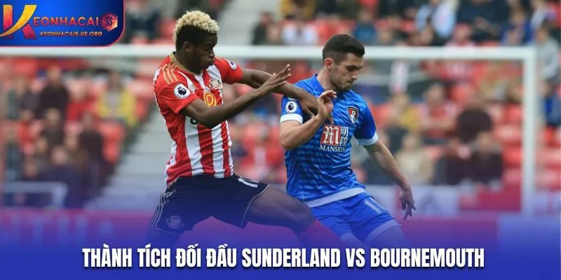 Soi kèo Sunderland vs Bournemouth - Thống kê thành tích chạm mặt trước đó
