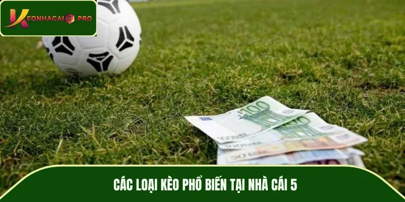 Các loại kèo phổ biến tại nhà cái 5