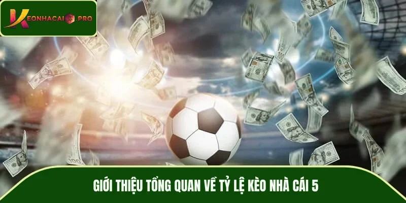 Giới thiệu tổng quan về tỷ lệ kèo nhà cái 5