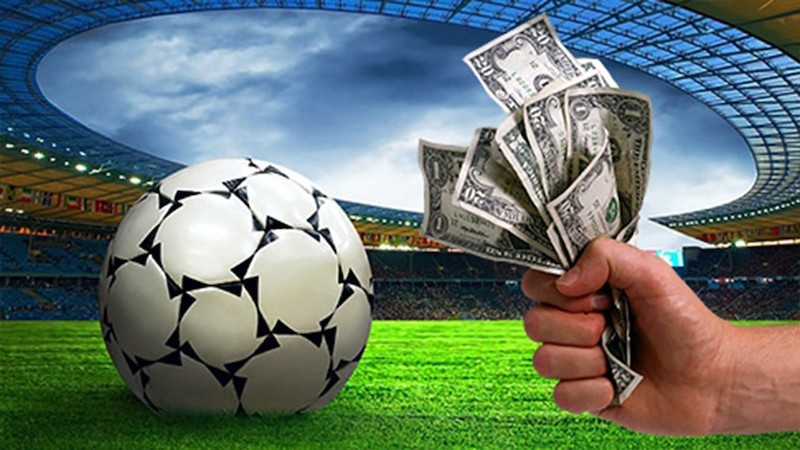 Betwinner Your Ultimate Guide to Betting Success