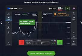 The Future of Trading Pocket Option Platform Revolution